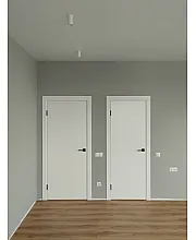 Межкомнатные Двери Paint 1 ГРАНД Краска
