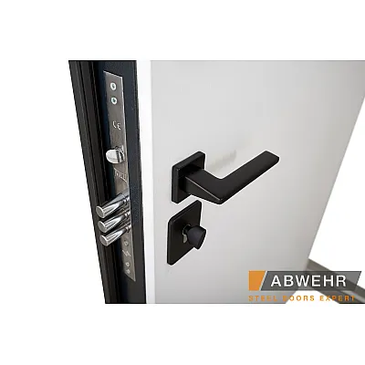 Вхідні Двері COTAGE1 (KT1 з терморозривом) Vinorit 498 Scandi Abwehr-8
