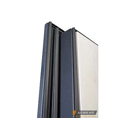 Входные Двери TERMIX (с терморазрывом) Tower 527 Abwehr-8