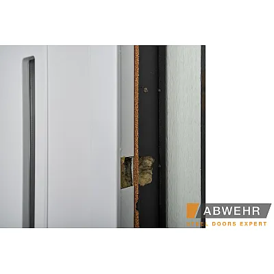 Входные Двери TERMIX (с терморазрывом) Tower 537 Abwehr-2