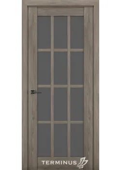 Двері 603 BLK Synchro Terminus