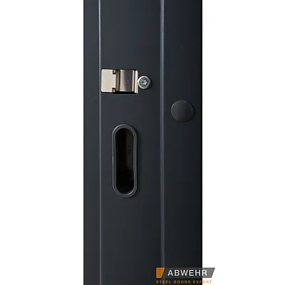 Вхідні Двері Defender (KTM) 408 Defender Glass RAL 7021Т Abwehr-2