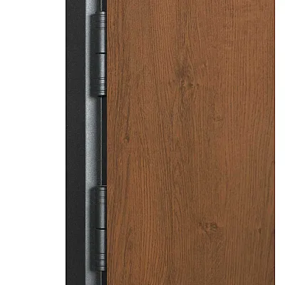 Вхідні Двері ТЕРМО HOUSE 705/428/431 Vinorit 1200 Булат-6