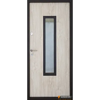 Вхідні Двері Defender (KTM) 408 Defender Glass RAL 8022Т Abwehr-1