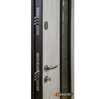 Вхідні Двері Defender (KTM) 408 Defender Glass RAL 8022Т Abwehr-6