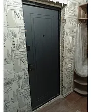 Входные Двери Оптима Лайт ДС-117 "Redfort"