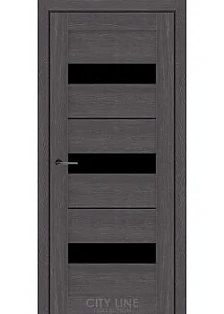 Двери ARION BLK City Line