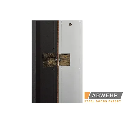 Вхідні Двері Bionica 2 (LP-6) Abwehr-12
