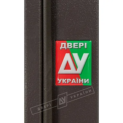 Вхідні Двері Салют м/м RAL 8019 SL05 Двері України-4