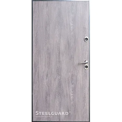 Входные Двери Termoskin Light 2 цвета Steelguard-3