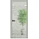 Межкомнатные Двери All-glass 01 WakeWood Стеклянные-9-thumb