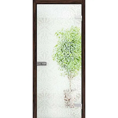Межкомнатные Двери All-glass 06 WakeWood Стеклянные-2
