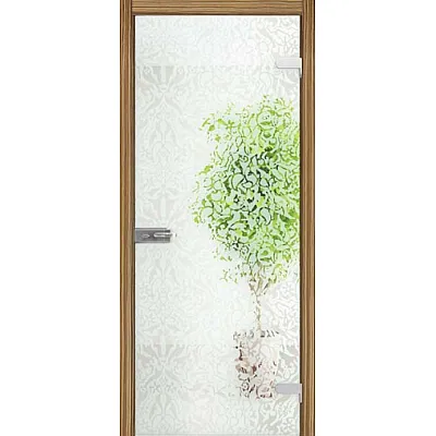 Межкомнатные Двери All-glass 06 WakeWood Стеклянные-8