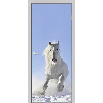 Межкомнатные Двери AT-12 "Dorum" ПВХ плёнка-0