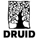 Druid