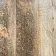 Виниловый SPC Ламинат Alta Step Дуб Античный SPC8806-6-thumb