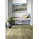 Лінолеум Beauflor Feelings Tasmanian Oak 169M-2-thumb