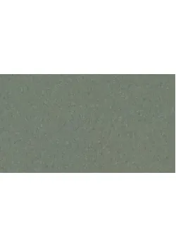 Линолеум Tarkett iQ NATURAL - Natural DUSTY GREEN 0159