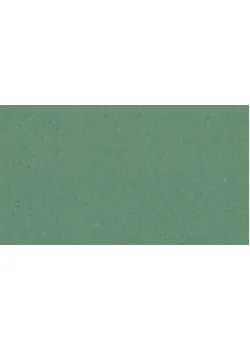 Линолеум Tarkett iQ NATURAL - Natural GREEN 0108