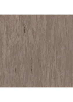 Линолеум Tarkett STANDARD PLUS - Standard DARK BEIGE 0482
