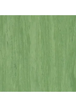 Линолеум Tarkett STANDARD PLUS - Standard DARK GREEN 0921