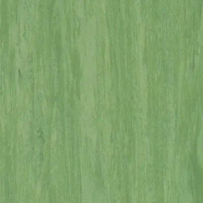 Линолеум Tarkett STANDARD PLUS - Standard DARK GREEN 0921-0