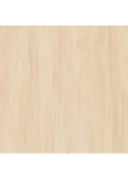 Линолеум Tarkett STANDARD PLUS - Standard SAND 0913