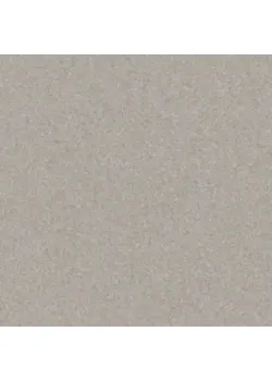 Линолеум Tarkett Eclipse Premium - Eclipse CLAY GREY 0988