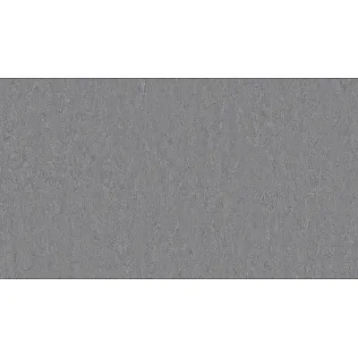 Линолеум Tarkett VENETO xf²™ (2.0 mm) - Veneto STEEL 673-0