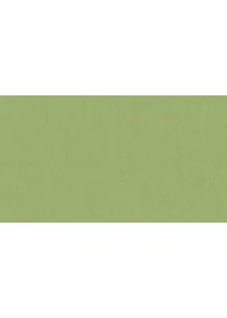 Линолеум Tarkett VENETO xf²™ (2.5 mm) - Veneto APPLE GREEN 754