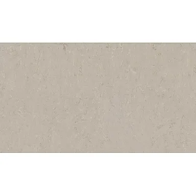 Линолеум Tarkett VENETO xf²™ (2.5 mm) - Veneto BURLAP 911-0
