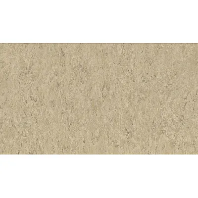 Лінолеум Tarkett VENETO xf²™ (2.5 mm) - Veneto ECRU 711-0