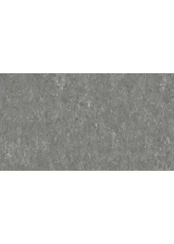 Лінолеум Tarkett VENETO xf²™ (2.5 mm) - Veneto PEBBLE 604