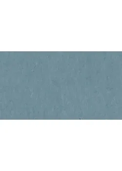 Лінолеум Tarkett VENETO xf²™ (2.5 mm) - Veneto PERIWINKLE 761