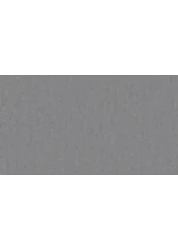 Лінолеум Tarkett VENETO xf²™ (2.5 mm) - Veneto STEEL 673