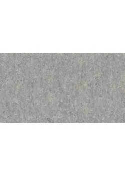 Лінолеум Tarkett VENETO xf²™ (2.5 mm) - Veneto STORM 702