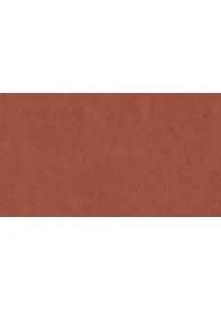 Лінолеум Tarkett VENETO xf²™ (2.5 mm) - Veneto TERRACOTTA 641