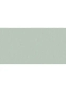 Линолеум Tarkett STYLE EMME xf²™ (2.5 mm) - Style Emme CAROLINA 760