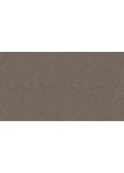 Линолеум Tarkett STYLE EMME xf²™ (2.5 mm) - Style Emme CEDAR 732