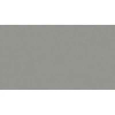 Линолеум Tarkett STYLE EMME xf²™ (2.5 mm) - Style Emme CEMENTO 202-0