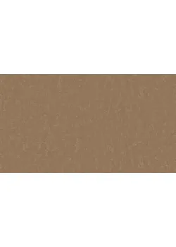 Линолеум Tarkett STYLE EMME xf²™ (2.5 mm) - Style Emme CINNAMMON 731