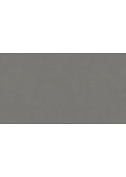 Линолеум Tarkett STYLE EMME xf²™ (2.5 mm) - Style Emme FERRO 205
