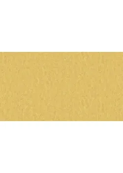Линолеум Tarkett STYLE EMME xf²™ (2.5 mm) - Style Emme GOLD 728