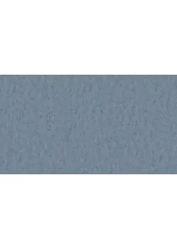 Линолеум Tarkett STYLE EMME xf²™ (2.5 mm) - Style Emme ICE 765