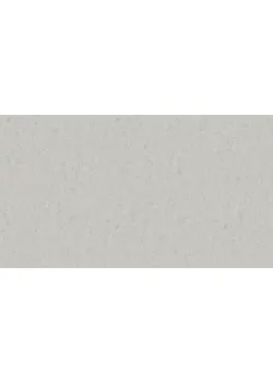 Линолеум Tarkett STYLE EMME xf²™ (2.5 mm) - Style Emme KOALA 794