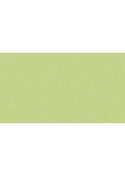 Линолеум Tarkett STYLE EMME xf²™ (2.5 mm) - Style Emme MOJITO 755