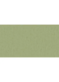 Линолеум Tarkett STYLE EMME xf²™ (2.5 mm) - Style Emme PEARS 753
