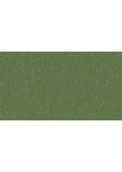 Линолеум Tarkett STYLE EMME xf²™ (2.5 mm) - Style Emme PINE 796