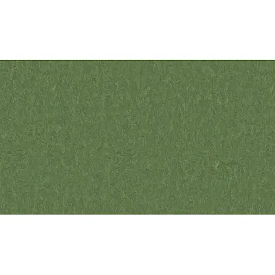 Линолеум Tarkett STYLE EMME xf²™ (2.5 mm) - Style Emme PINE 796-0