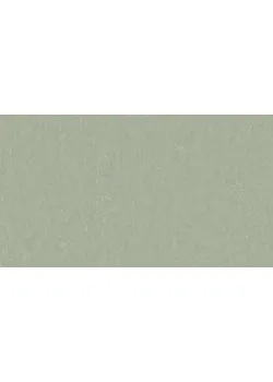 Линолеум Tarkett STYLE EMME xf²™ (2.5 mm) - Style Emme PISTACHIO 758
